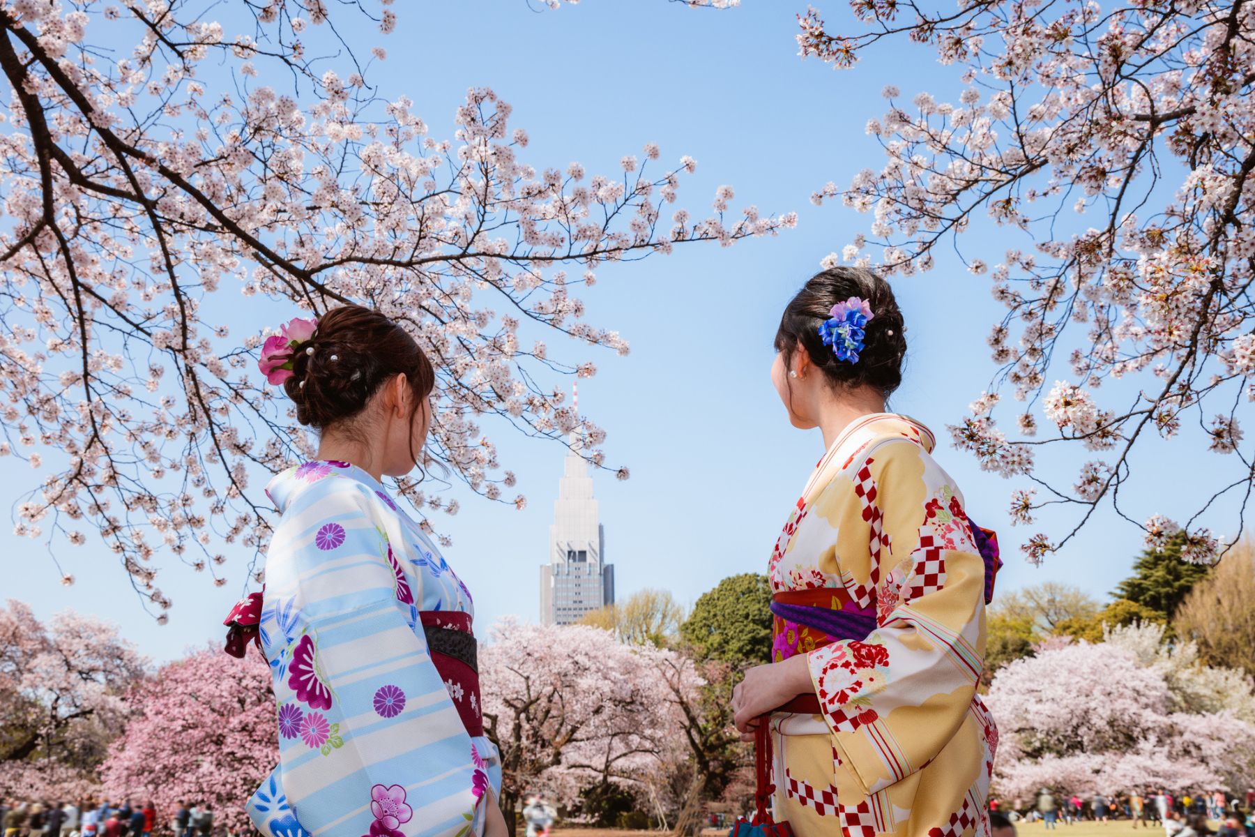 從冬季到春天，與閨蜜同遊日本櫻花之旅