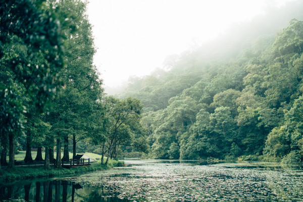 福山植物園：隱藏在山林祕境的生態方舟