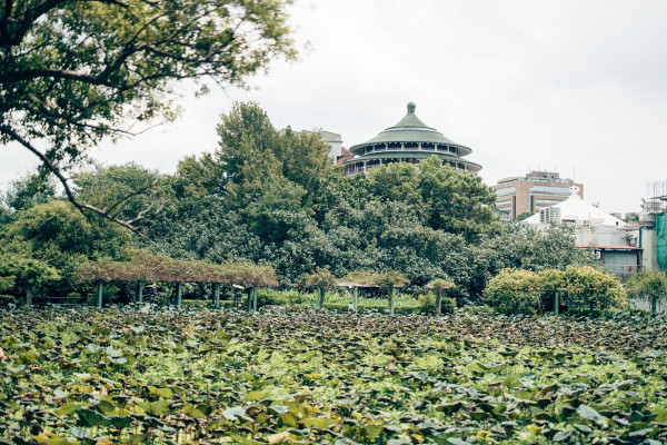 台北植物園：景觀與文化疊加的城市森林